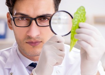 The biotechnology scientist chemist working in lab