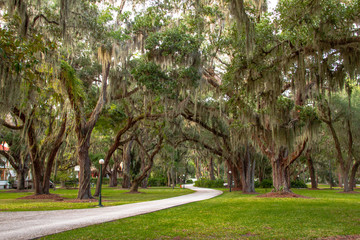 Eichen im Park von Jekyll Island