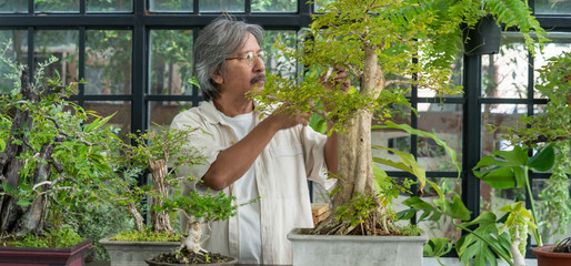 Happy relax asian senior man enjoying with his garden. Retirement old man gardening his tree plant in his greenhouse. Retirement senior old age hobby lifestyle and mental health care concept. - obrazy, fototapety, plakaty
