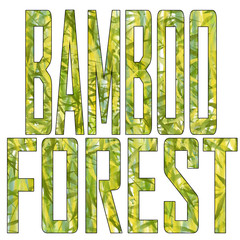 The words "Bamboo Forest" isolated on a white background. Textured letters. The texture is yellow-green in color with leaves and stems of bamboo.