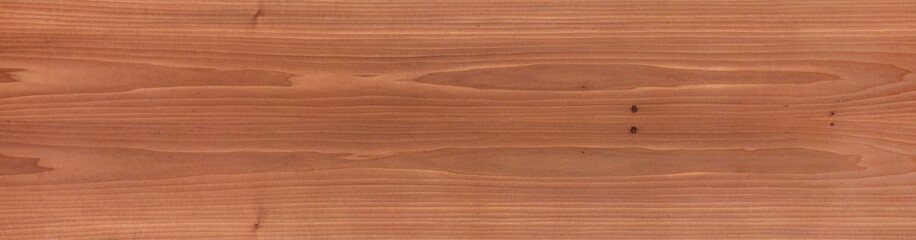 Beautiful natural tulip tree veneer background as part of your stylish interior.