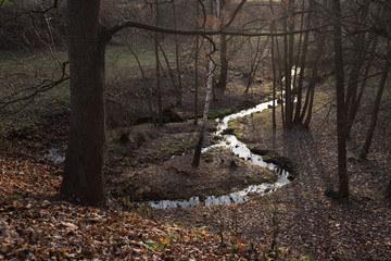 A small river runs in the autumn Park.