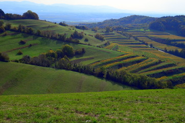 Kaiserstuhl im Herbst