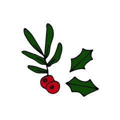 holly drawing vector hand drawn illustration