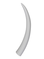 3d illustration of ivory tusk on white background
