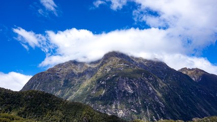 Obraz na płótnie Canvas Milford Sound in the Fiordland National Park, New Zealand