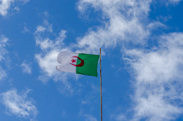 Algerian Flag in wind
