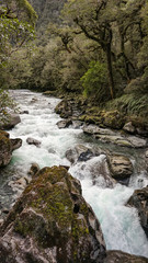 Milford Sound in the Fiordland National Park, New Zealand