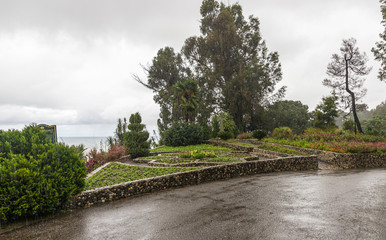 View of a decorative terrace on a rainy day the Batumi Botanical Garden in Georgia