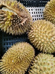 Naklejka na ściany i meble fresh durian on the market