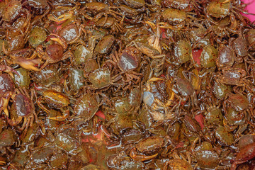 Crabs for sale in a local store in the old town of Daxuzhen