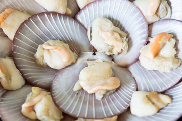 Closeup of Scallop with shell for BBQ dinner.