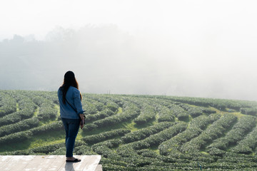 Beautiful woman standing on the wood floor viewing finest tea farm with white fog
