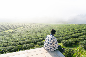 View of man sitting on the wood floor viewing finest tea farm with white fog in the morning
