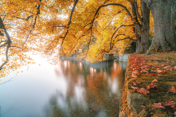 leuchtende, strahlende Herbststimmung am Wasser, D, Bayern, Bodensee, LIndau, Lindenhofpark, romantischer, atmosphärischer, goldener Oktober am Bodensee mit weicher Wasserfläche © JM Soedher