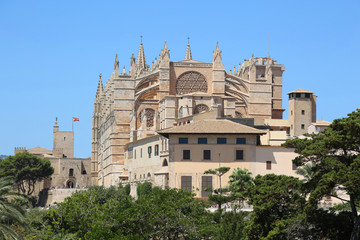 Naklejka premium Palma, cathédrale