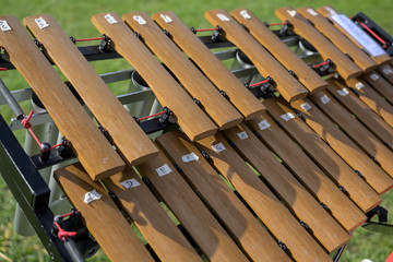 portable xylophone from an outdoor music band