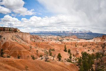 Fototapeta na wymiar view of bryce canyon