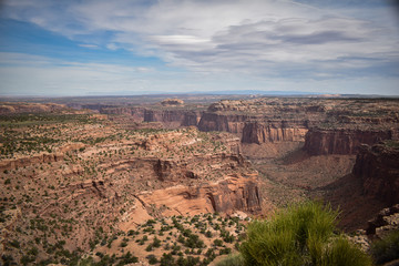 Fototapeta na wymiar view at canyonlands national park