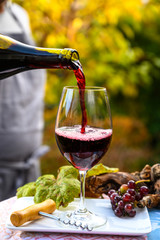 Pouring yound red beaujolais wine in glass during celebration of end of harvest and first sale release on third Thursday of November in Burgundy, France - obrazy, fototapety, plakaty