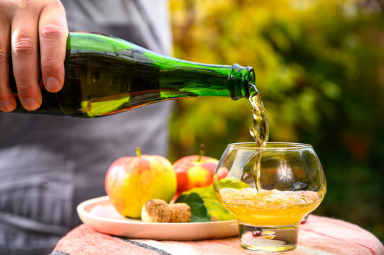 Tasting of french apple cider made from new harvest apples outdoor in orchard