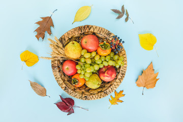 Top view of various colorful autumn fruits and leaves in a wicker basket over light blue background.