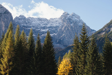 Beautiful Alpine Mountains in Autumn