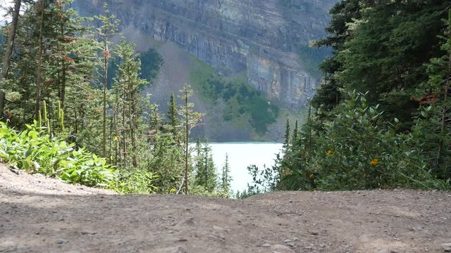 POV of Path way/natural treking way with 2 men treking pass in the middle of pine tree forest on the mountain in National Park,Alberta,Canada- Natural landscape view in canada in 4K