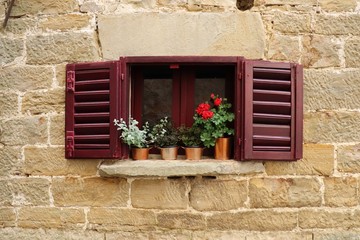 Fototapeta na wymiar Window with flowers 