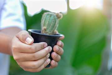 Kid hands hold small green plant life. Cactus in flowerpot.