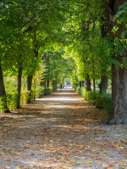 Allée dans le parc de Schonbrunn (Autriche, Vienne)