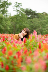 Obraz premium 花畑の女性