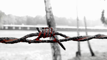 Styutthoff © Dariusz