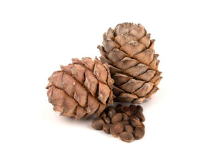 Two pine cones tith nuts on a white background