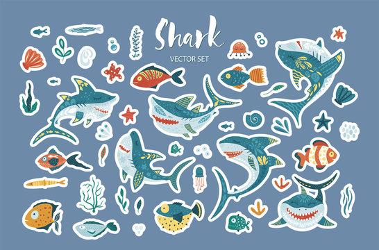 Shark Family Images – Browse 5,572 Stock Photos, Vectors, and