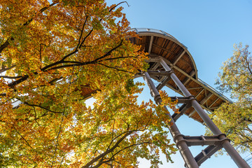 Treetop path through the mixed forest at the Beelitz near Berlin in Germany, view from below to the supports and wooden planks. Autumn trees.