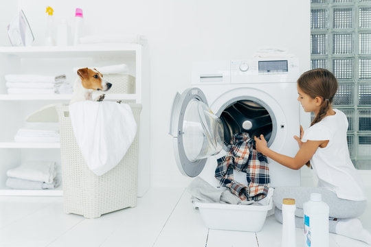 Busy Child Does Laundry Work, Empties Washing Machine, Cleaned Clothes In Basin Uses Detergents, Little Pedigree Dog In Basket. Modern Household Device At Home. Female Kid Helps With Family Chores