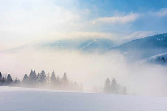 blizzard in mountains. magic scenery with clouds and fog on a sunny winter day. trees in mist on a snow covered meadow. borzhava ridge in the distance. cold weather forecast concept