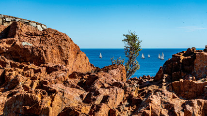 sailing boats view from cap roux hiking trail In the red rocks of the Esterel mountains with the blue sea of the Mediterranean