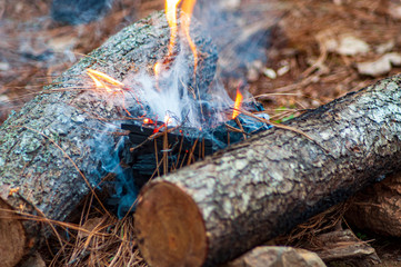 fuego fogata