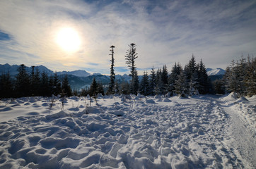 Zimowy las w górach 