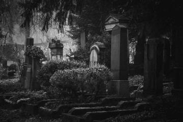 Vintage, retro photo of old graves and tombstones in an ancient cemetery. Grainy, noisy, artistic monochrome image. Halloween, all saints concept