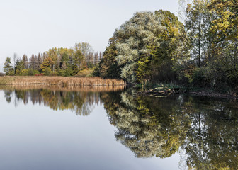Fototapeta na wymiar trees are reflected in the lake