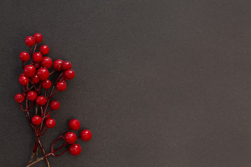 Christmas composition. Red winter berries on a dark horizontal background.