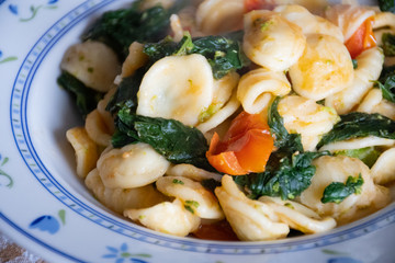Dish of turnips leaves and fresh tomatoes with orecchiette in the traditional apulian recipe