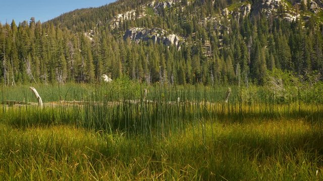 Sotcher Lake in the Ansel Adams Wilderness near Mammoth Lakes California USA