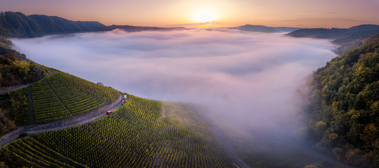 Foggy Sunrise at the Mosel Valley – Germany - obrazy, fototapety, plakaty