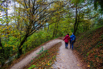 The people walking by hiking trail in forest.