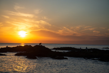 夕暮れの海岸