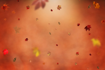 Hintergrund mit Herbstblätter und Textfreiraum